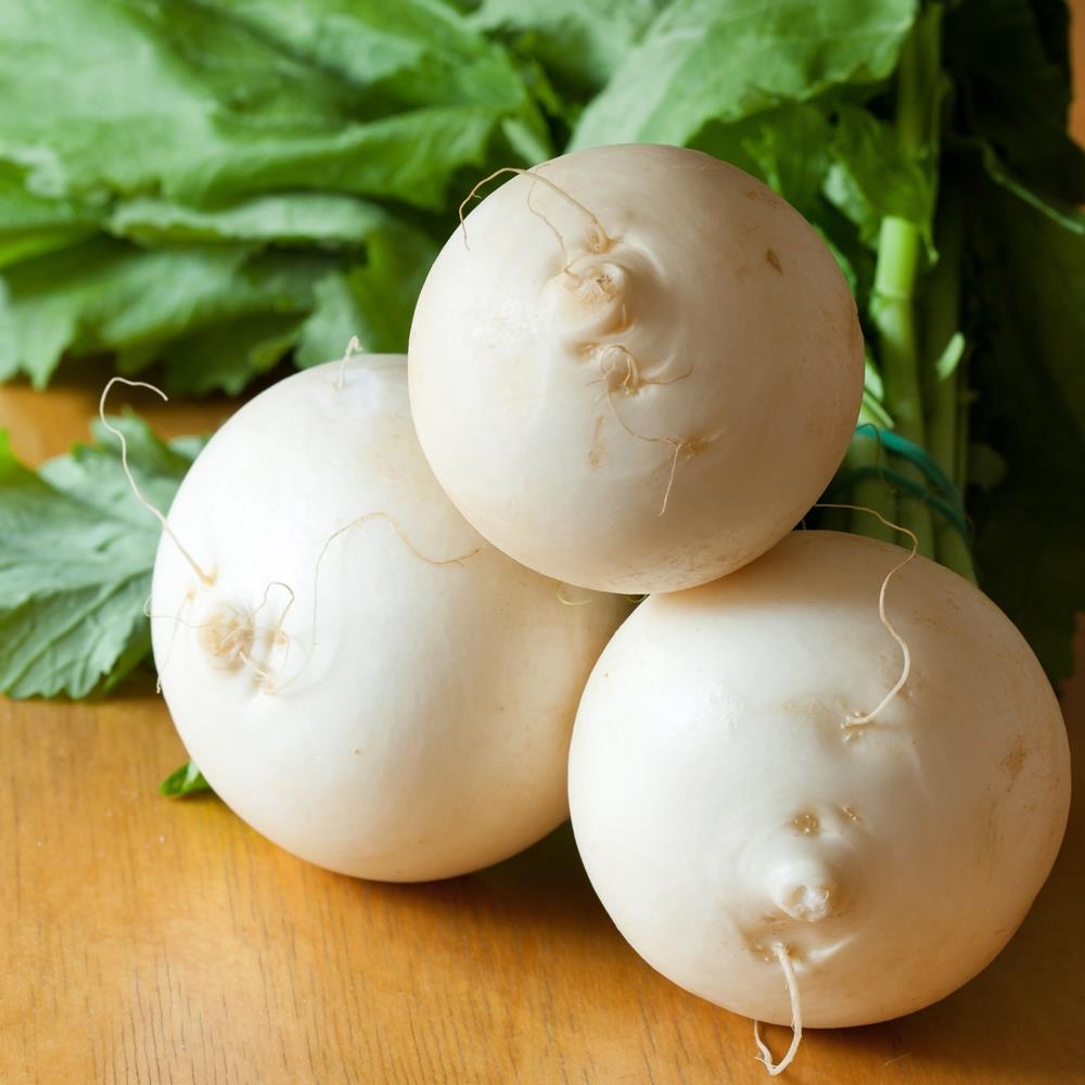 VEGETABLE SEEDS carrots beetroot radish turnip Root vegetable Grow Sow