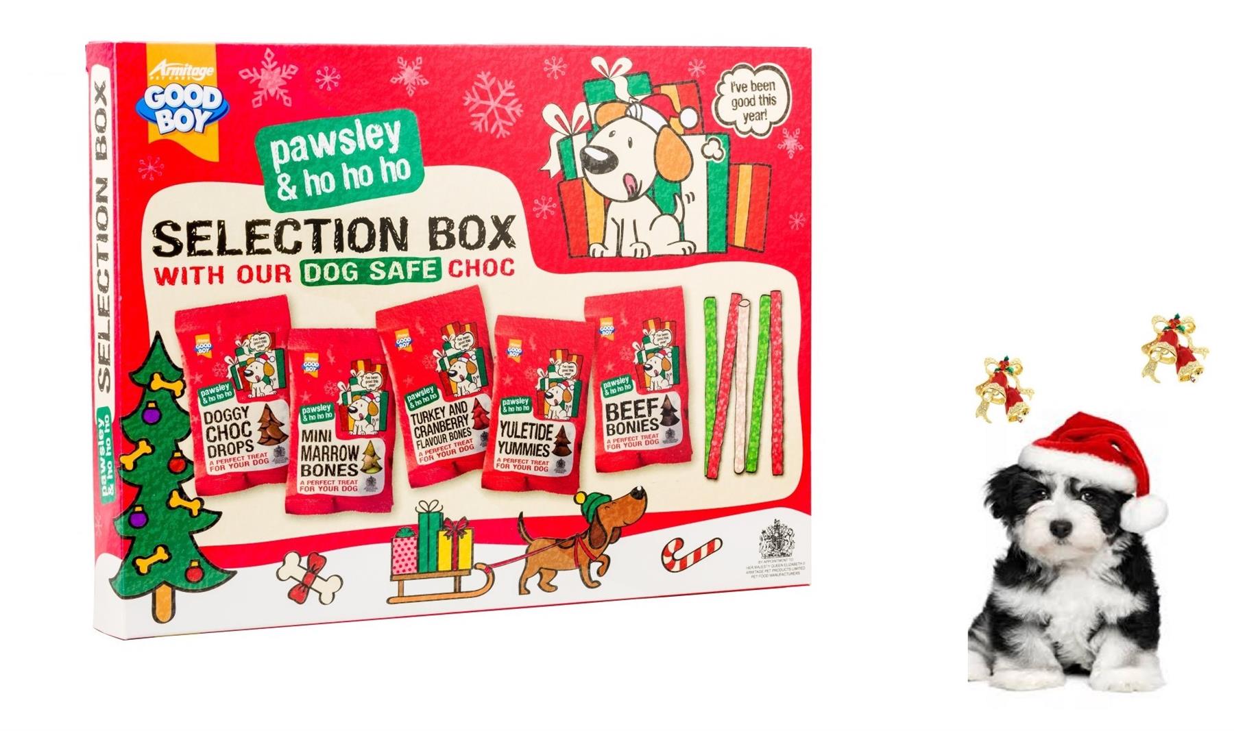 dog christmas selection box