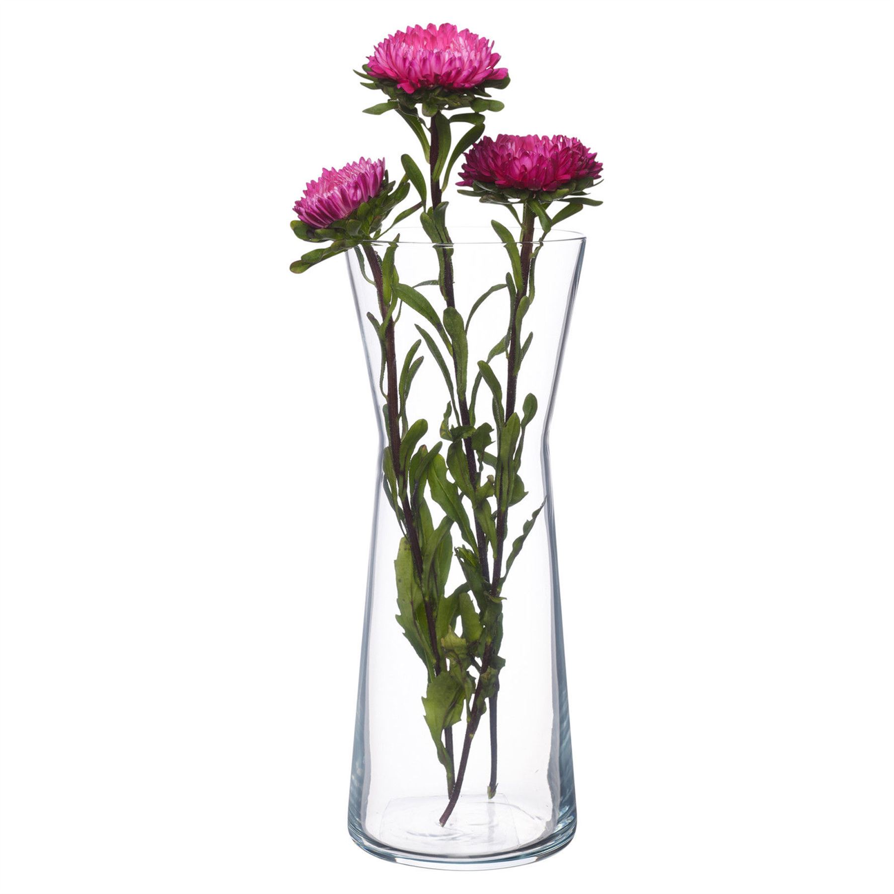 Simpa Botanica Clear Glass Contemporary Vases For Floral