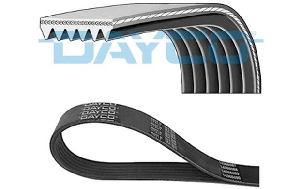 DAYCO 6PK1323S Courroie Accessoire