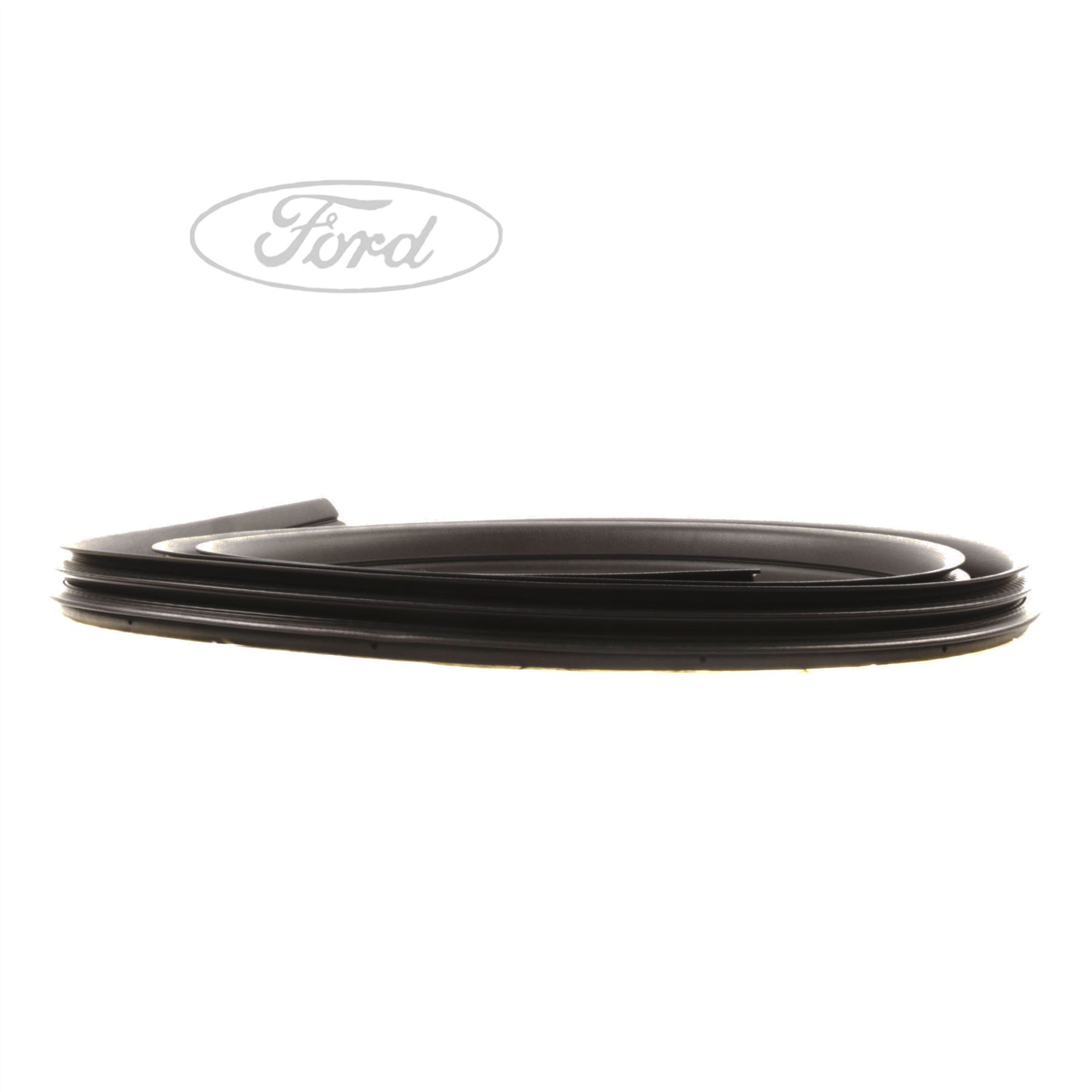 Genuine Ford Focus MK2 Front Door Weatherstrip Seal 1534919 eBay
