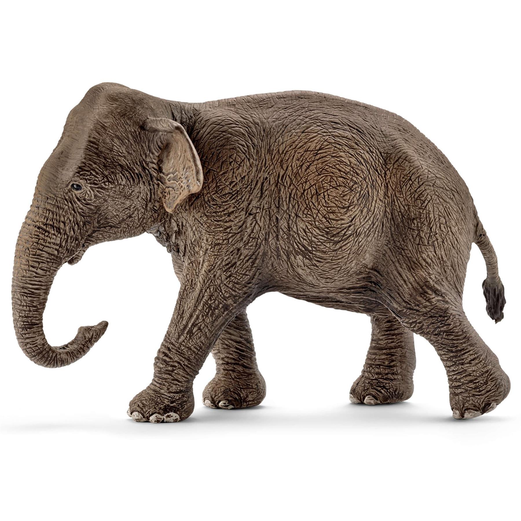 Schleich Asian Elephant Female Highly Detailed Lifelike Animal Play