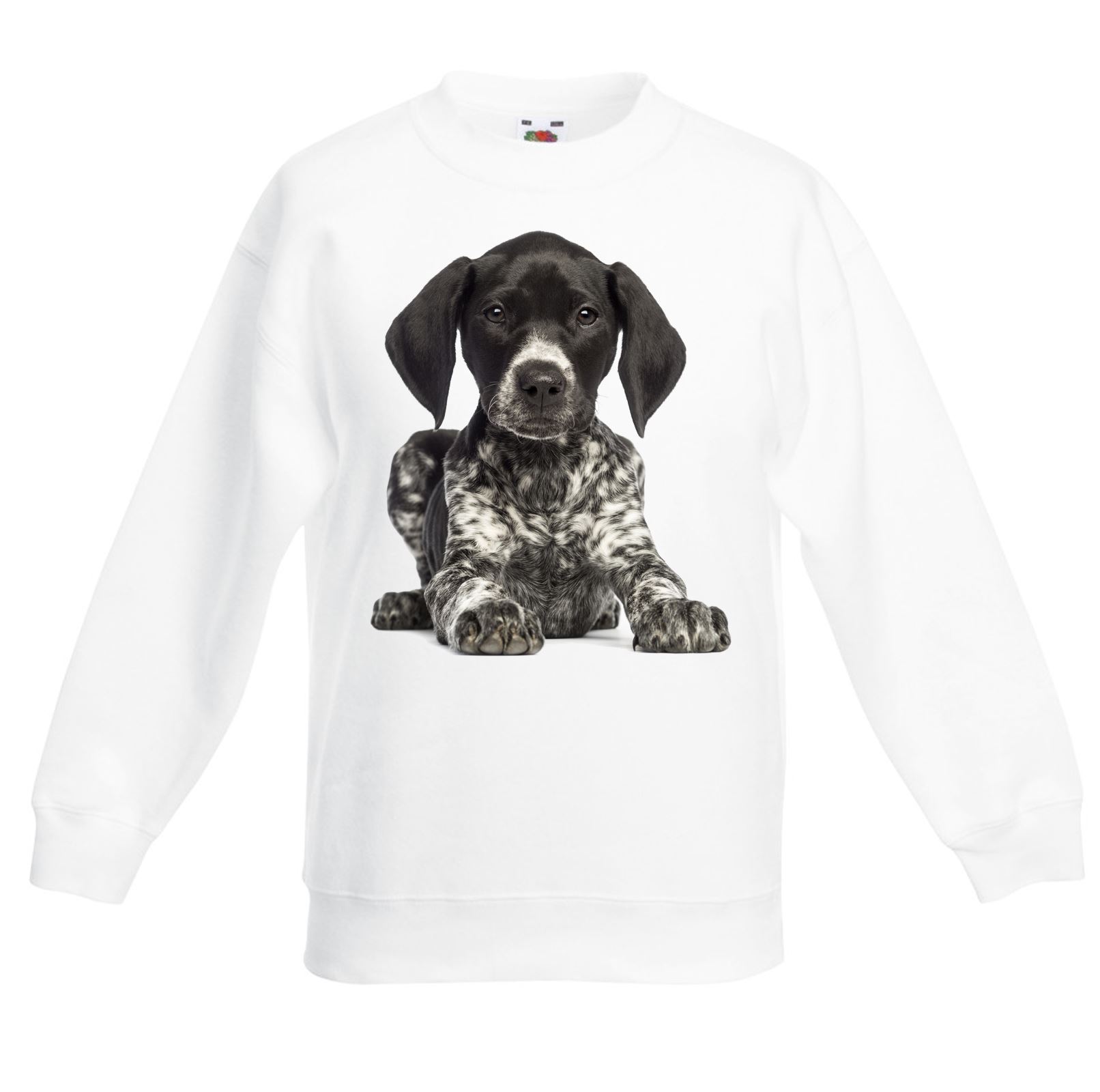 German Short Haired Pointer Dogs Children S Toddler Kids