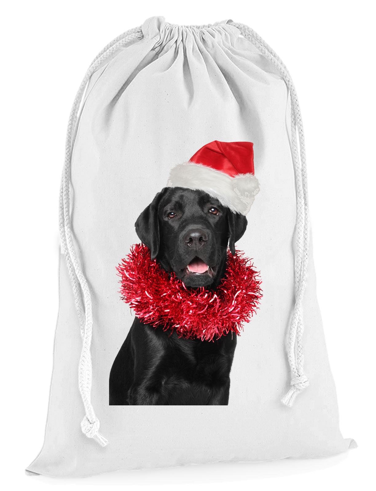 black labrador presents