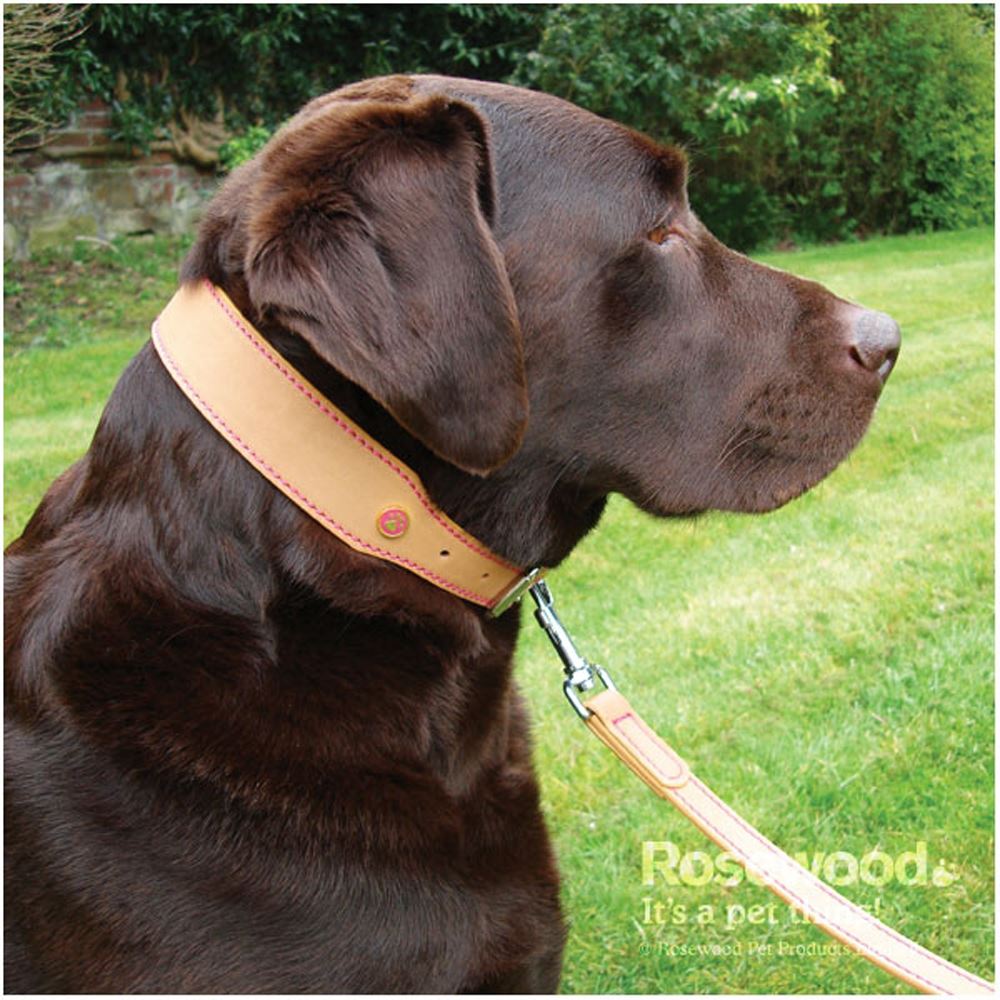 Rosewood Luxury leather Dog Collars & Leads Brown, Black, Tan eBay
