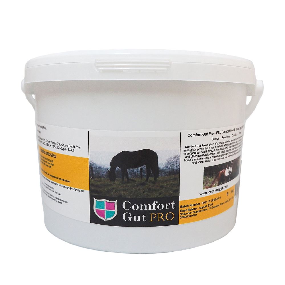 Comfort Gut Horse Supplement, Special, Ultimate & Pro for Race Horses
