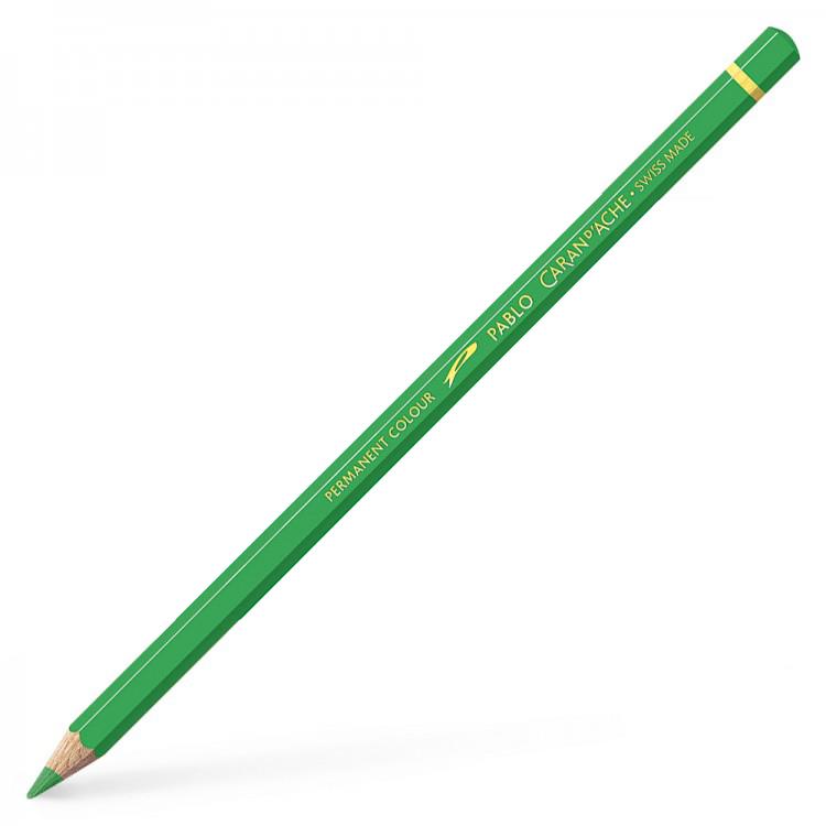 Caran D'Ache Pablo Pencils - All Single Colours - Picture 33 of 121