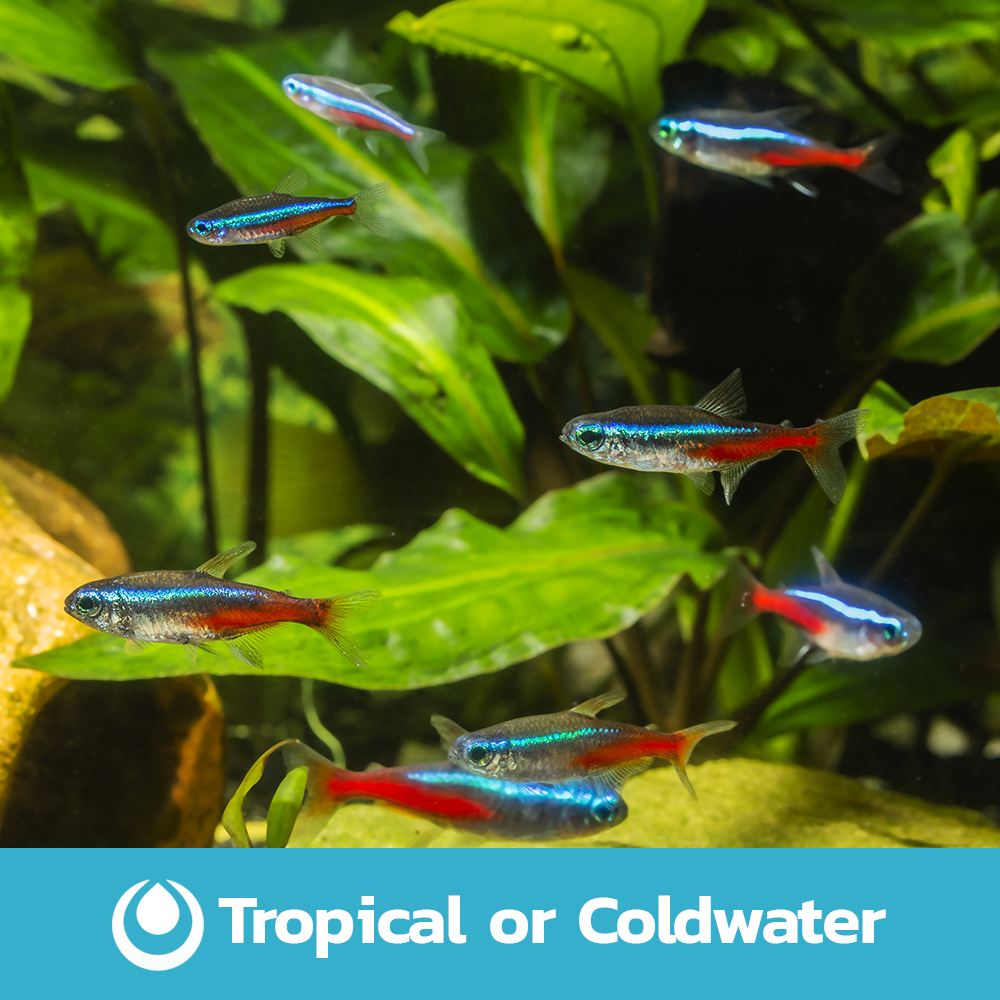 Swell LED Complete Aquarium Starter Kits Integrated Lighting Filter Fish Tank - Picture 8 of 21