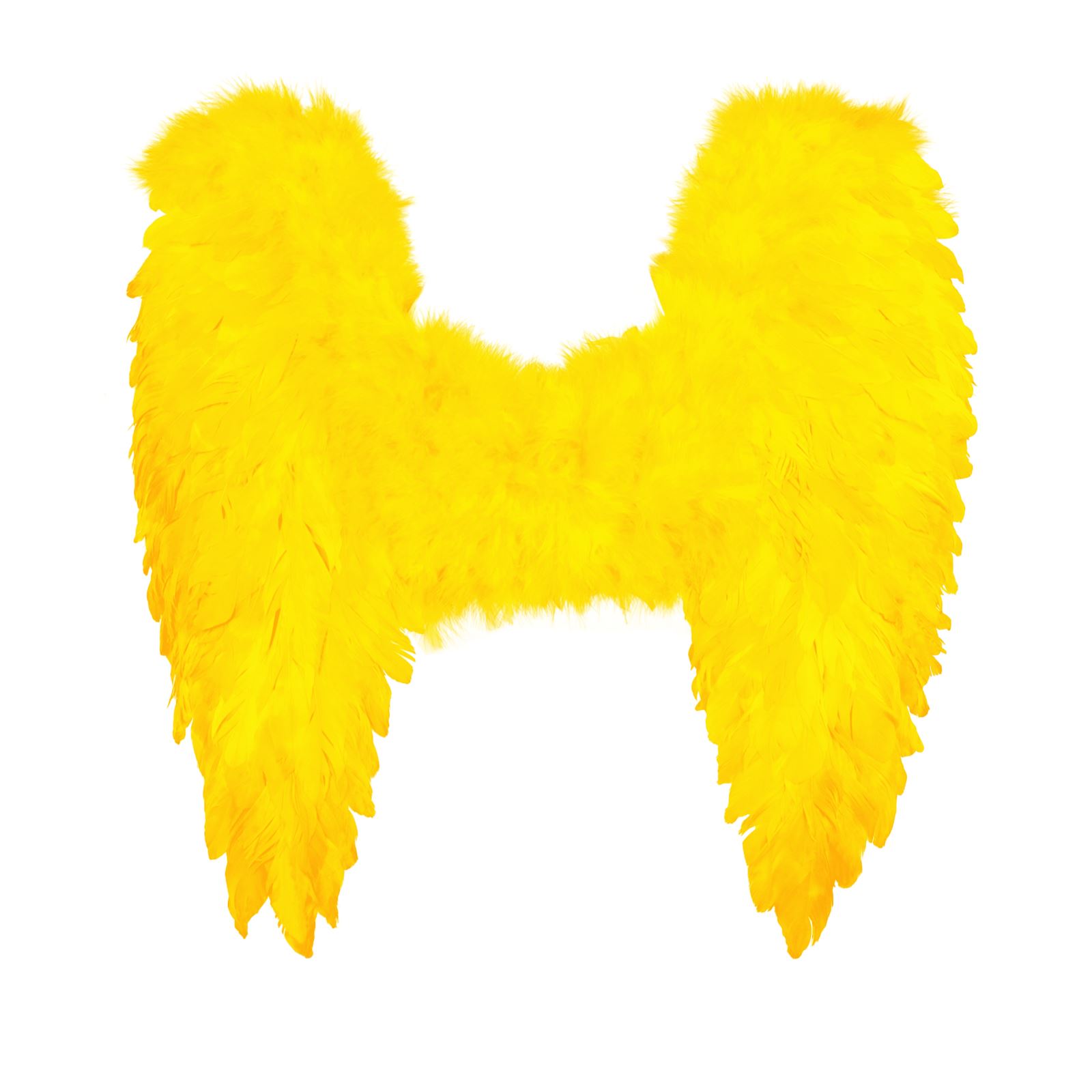 Angel Fairy Wings Fancy Dress Costume Hen Night Feathers Outfit Adult