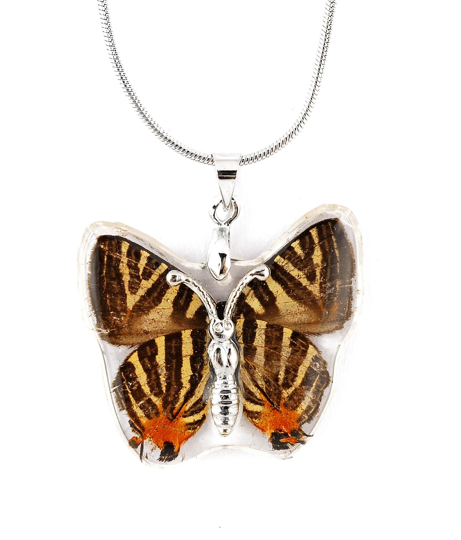 Real Insect Butterfly Wings Necklace Pendant Charm Jewelry Butterflies