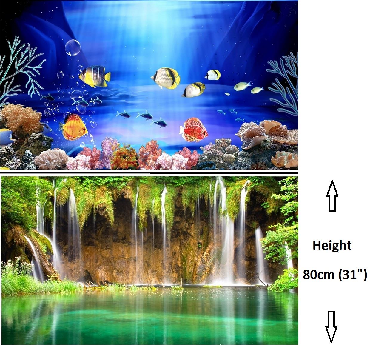 fish tank backgrounds