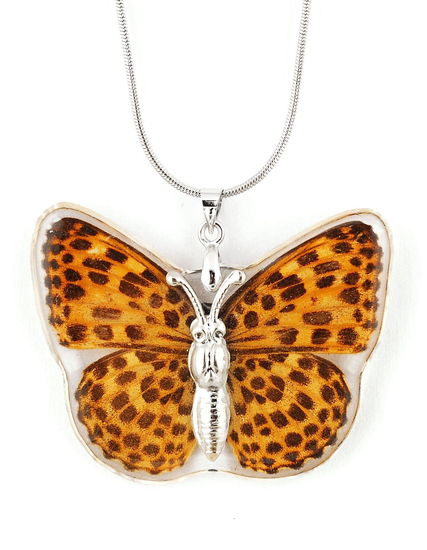 Real Insect Butterfly Wings Necklace Pendant Charm Jewelry Butterflies