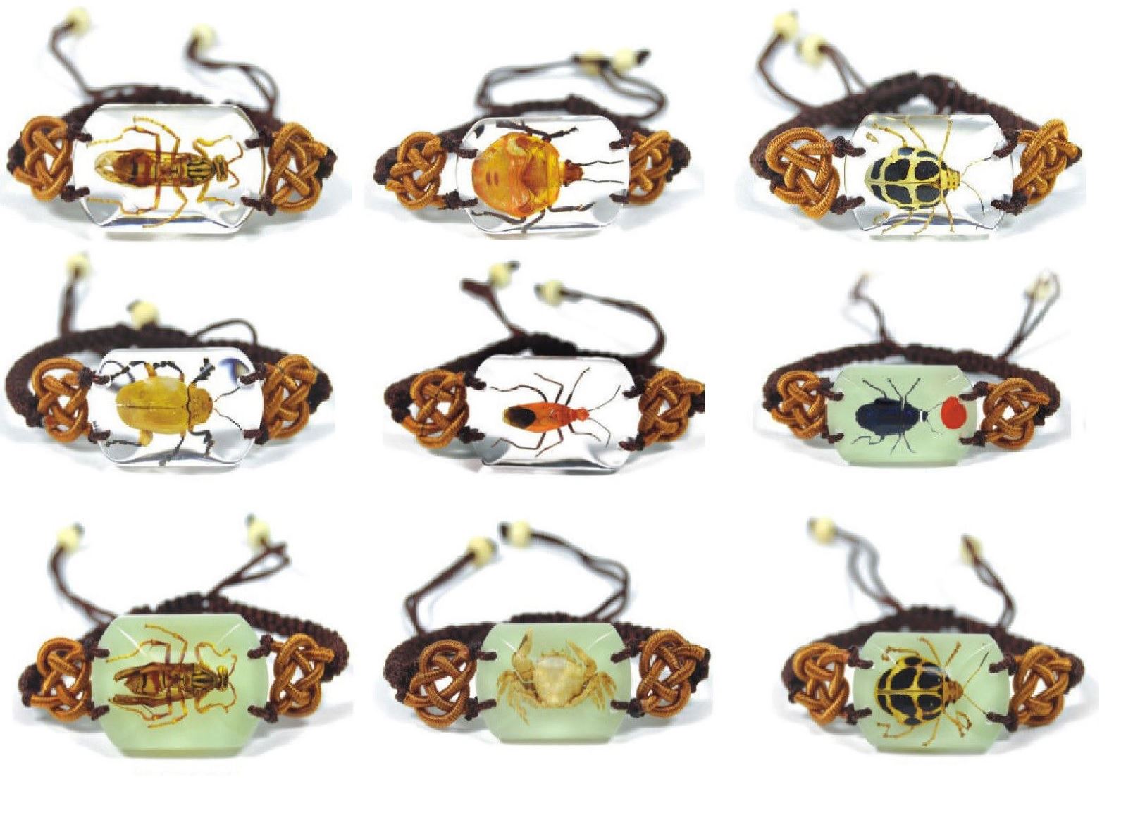 Real Insect Bracelet Jewellery Charms Beetles Spiders Crabs Scorpions