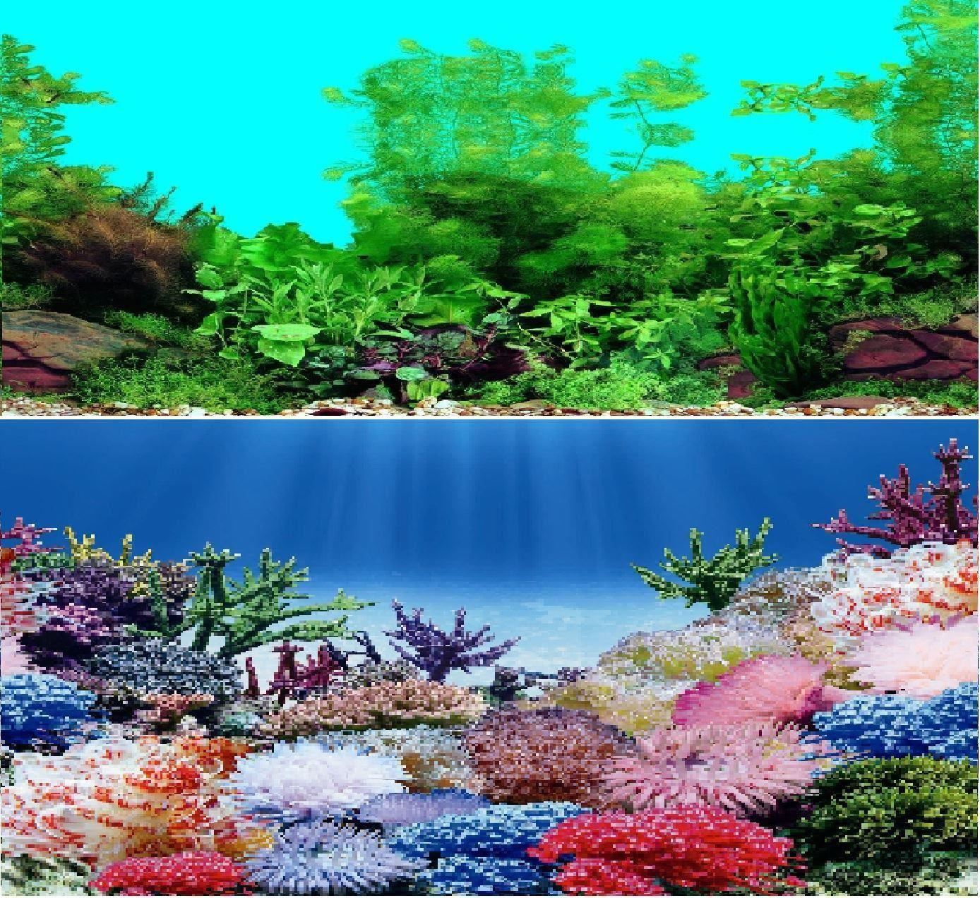 31" Double Sided Aquarium Background Backdrop Fish Tank Marine Tropical