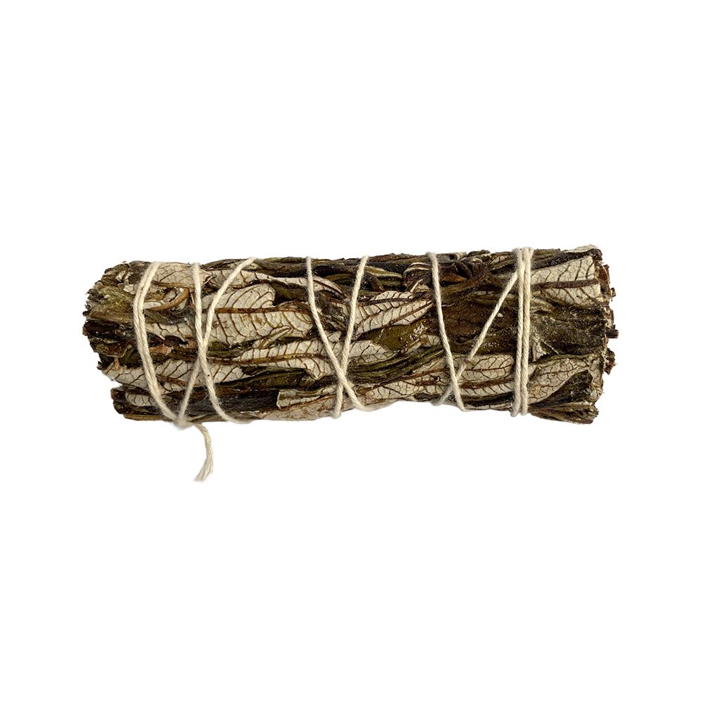 Smudge Sticks White Sage and Yerba Santa 4