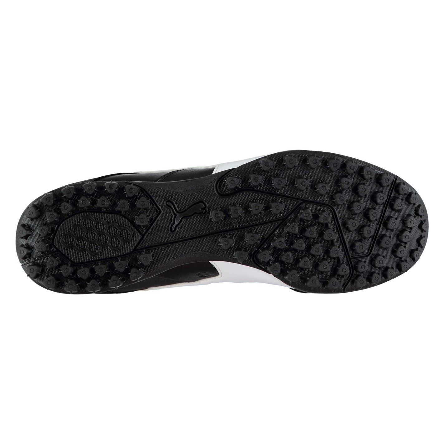 puma hombre esito puma hombre esito