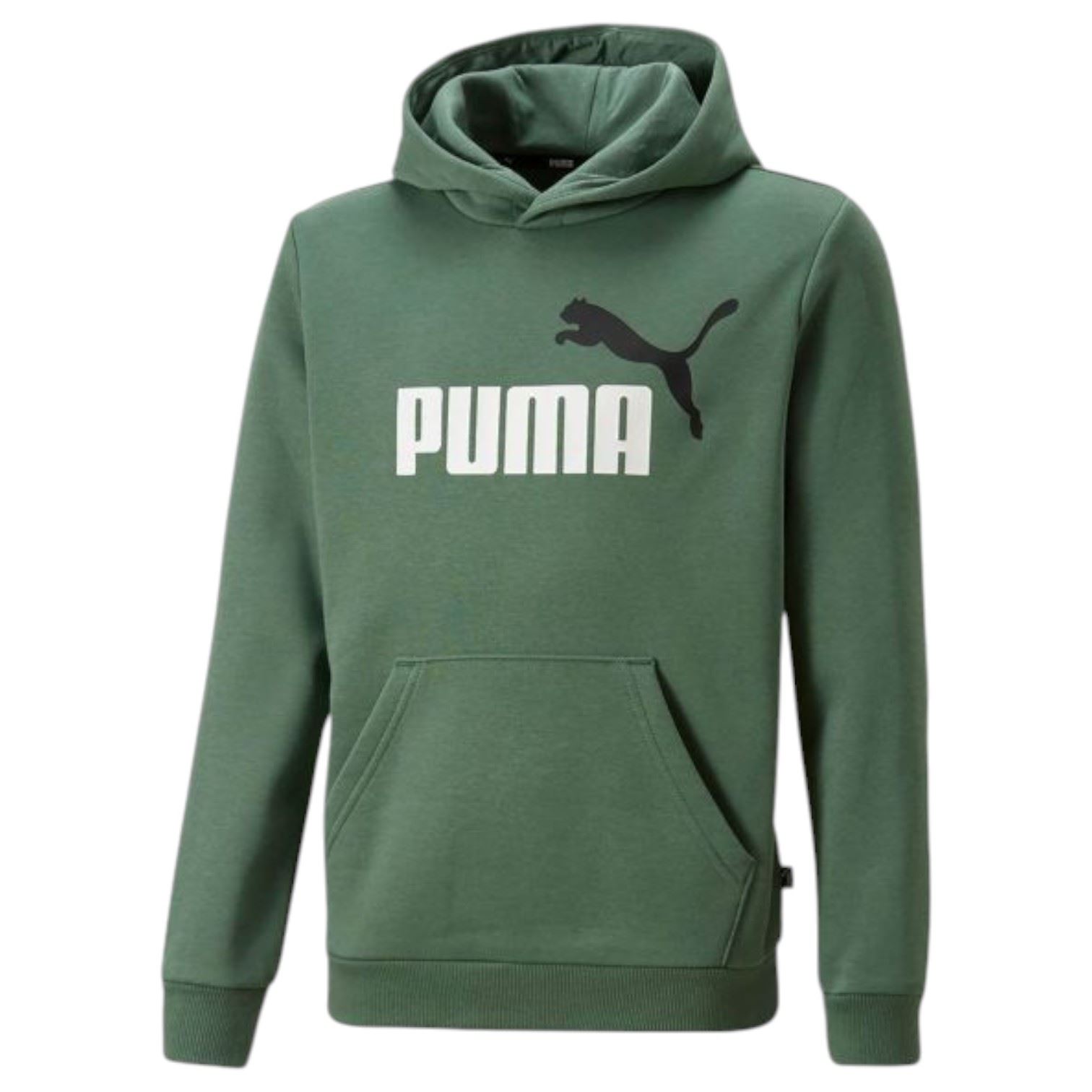 Puma Kids ESS + 2 Big Logo Hoodie Casual Athleisure Top Hooded Pullover Green - Picture 1 of 2