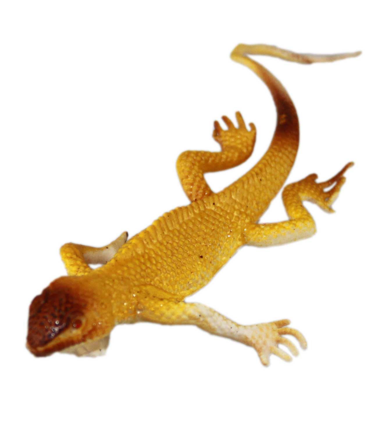 Soft Rubber Insect Reptile Animals Children Plastic Party Gift Skeleton