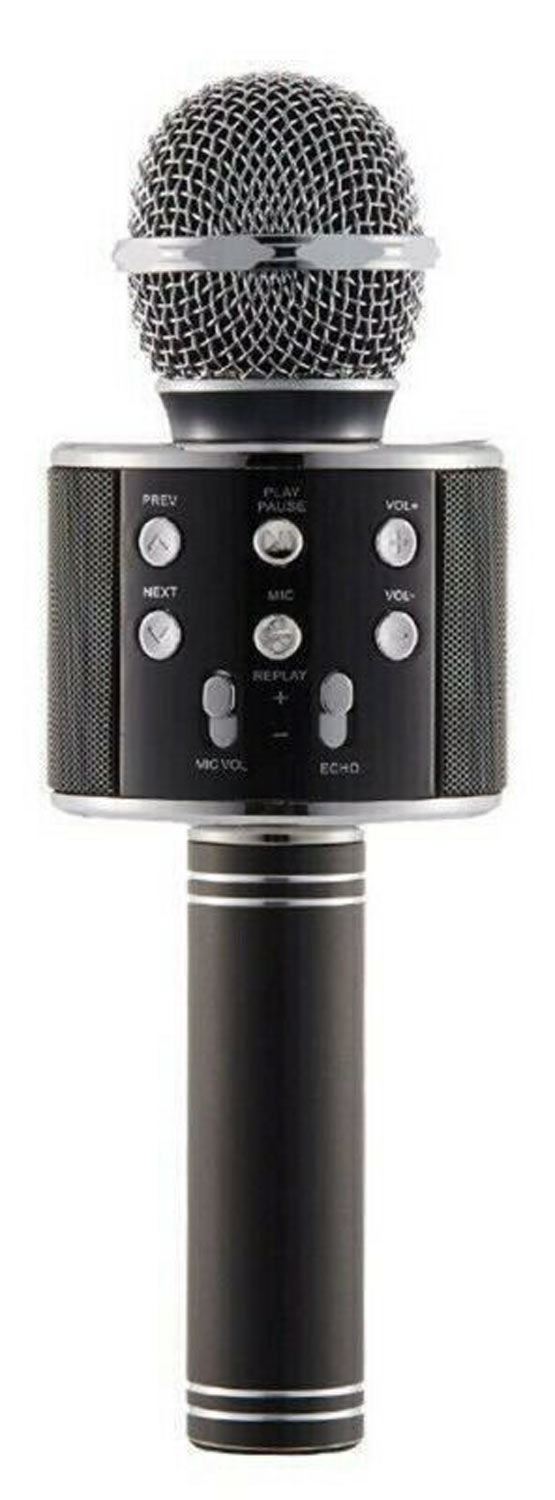 Душ в виде микрофона