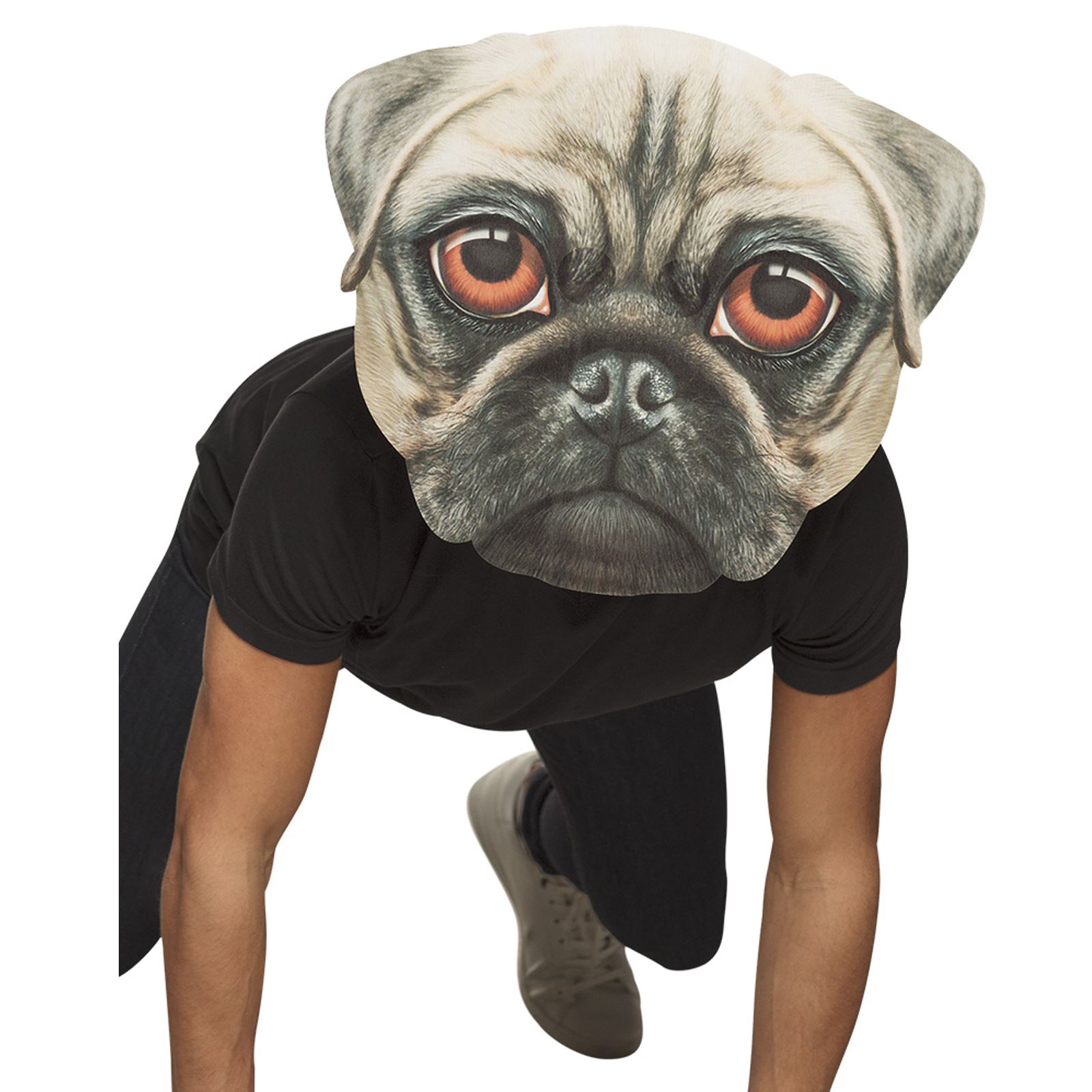 Téléchargement gratuit Images Geant Chat Chien Carlin Realiste Plat Animal Masque Grosse Tete En actualisé par