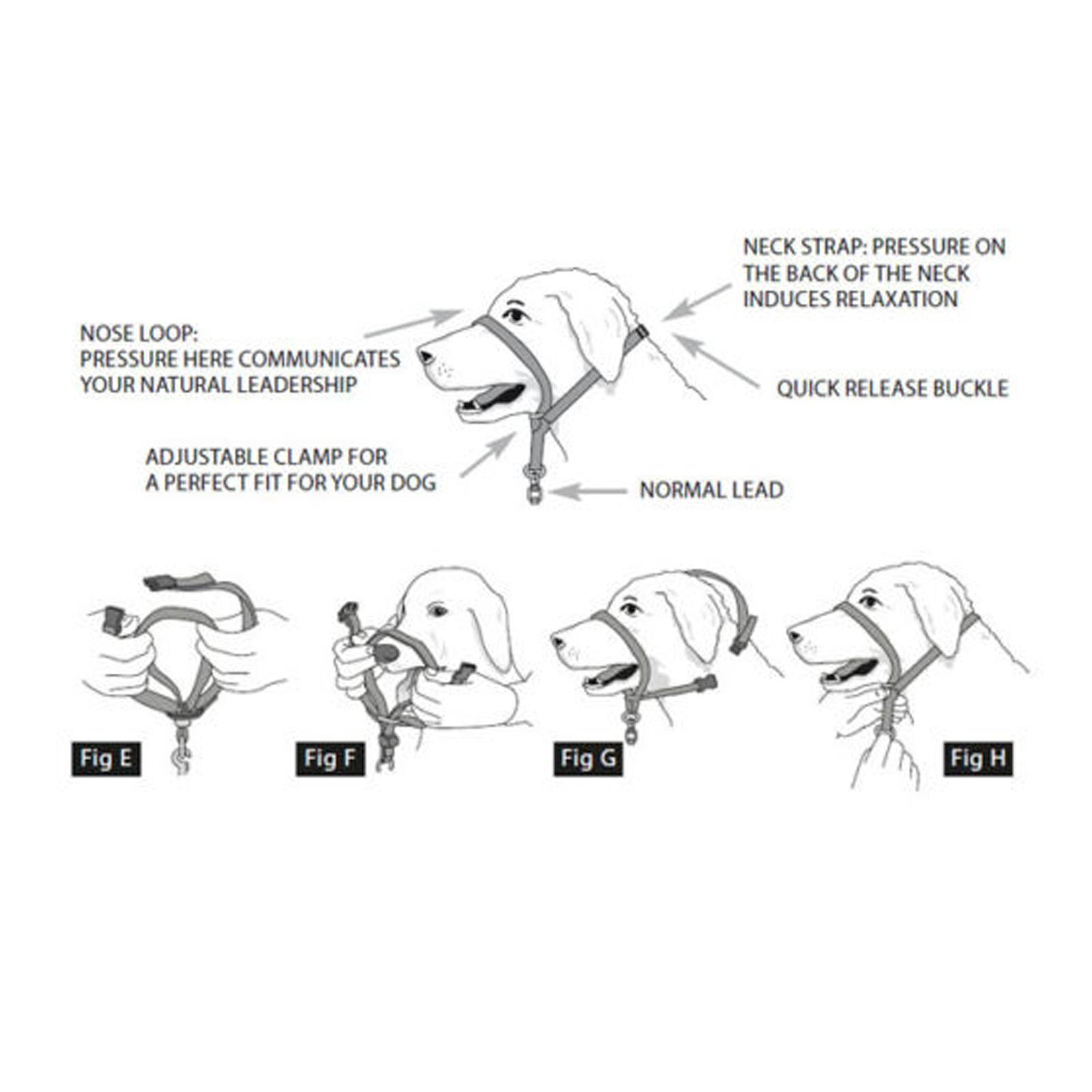 Beaphar Gentle Leader Head Collar Harness SMALL MEDIUM LARGE Stops