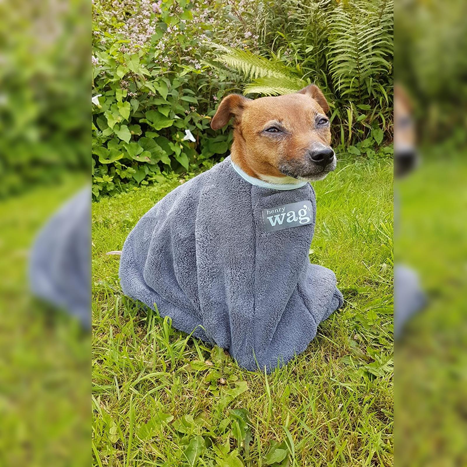 Henry Wag Microfibre Drying Bag with Zip Absorbent Quickly Dry Wet Coat