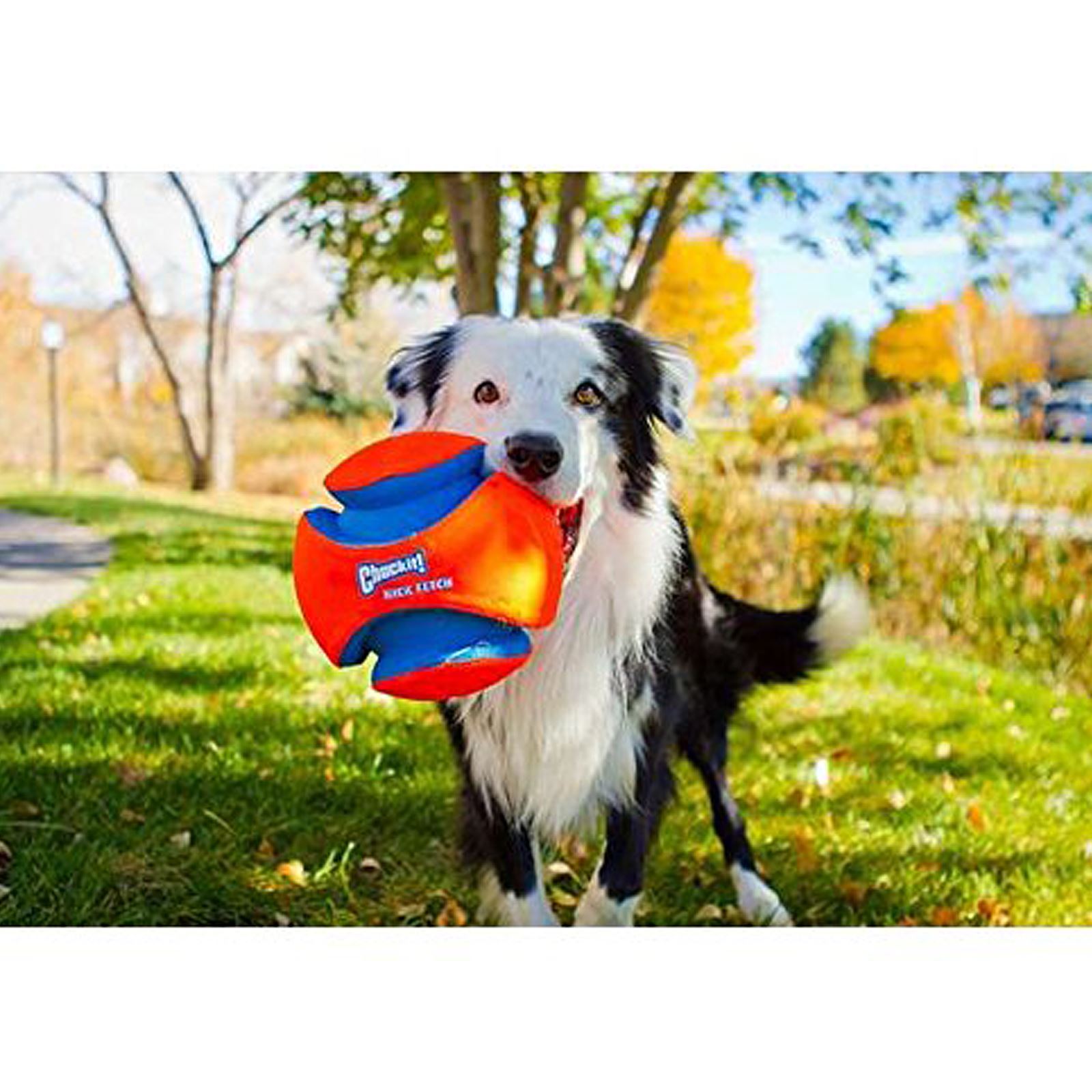 Chuckit Kick Fetch Ball Dog Toy Football Game Durable 15cm Exercise