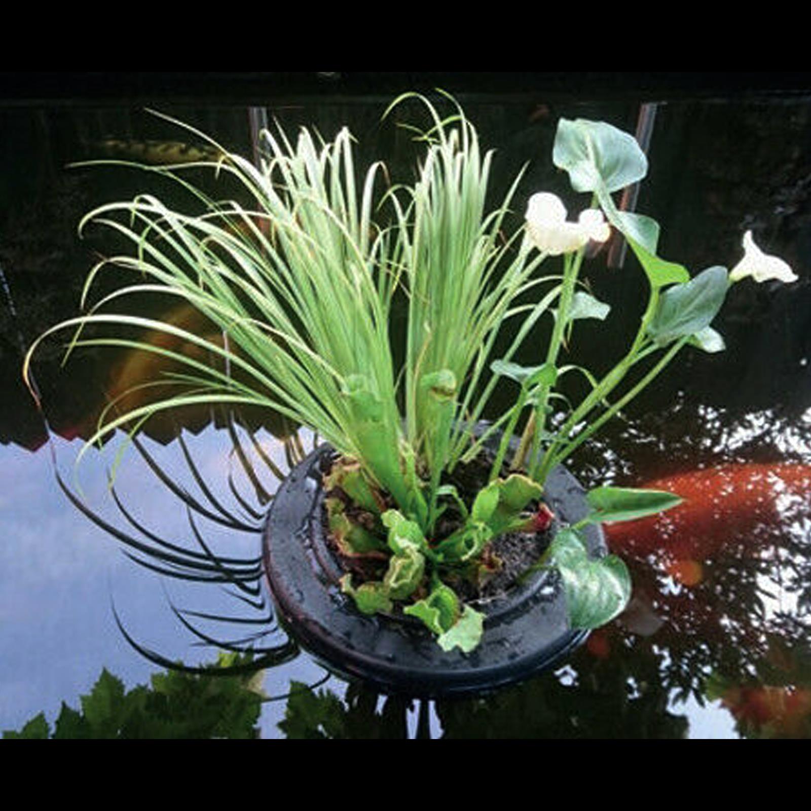 Superfish Floating Pond Plant Basket for Garden Pond Koi Goldfish Water