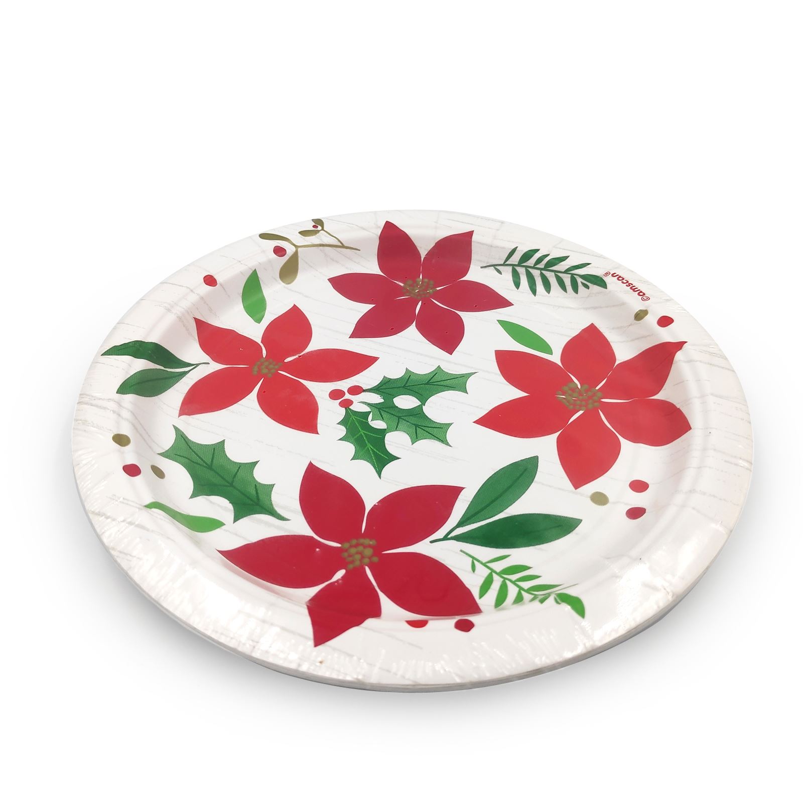 Merry Christmas Wishes Paper Plates Napkins Festive Poinsettia