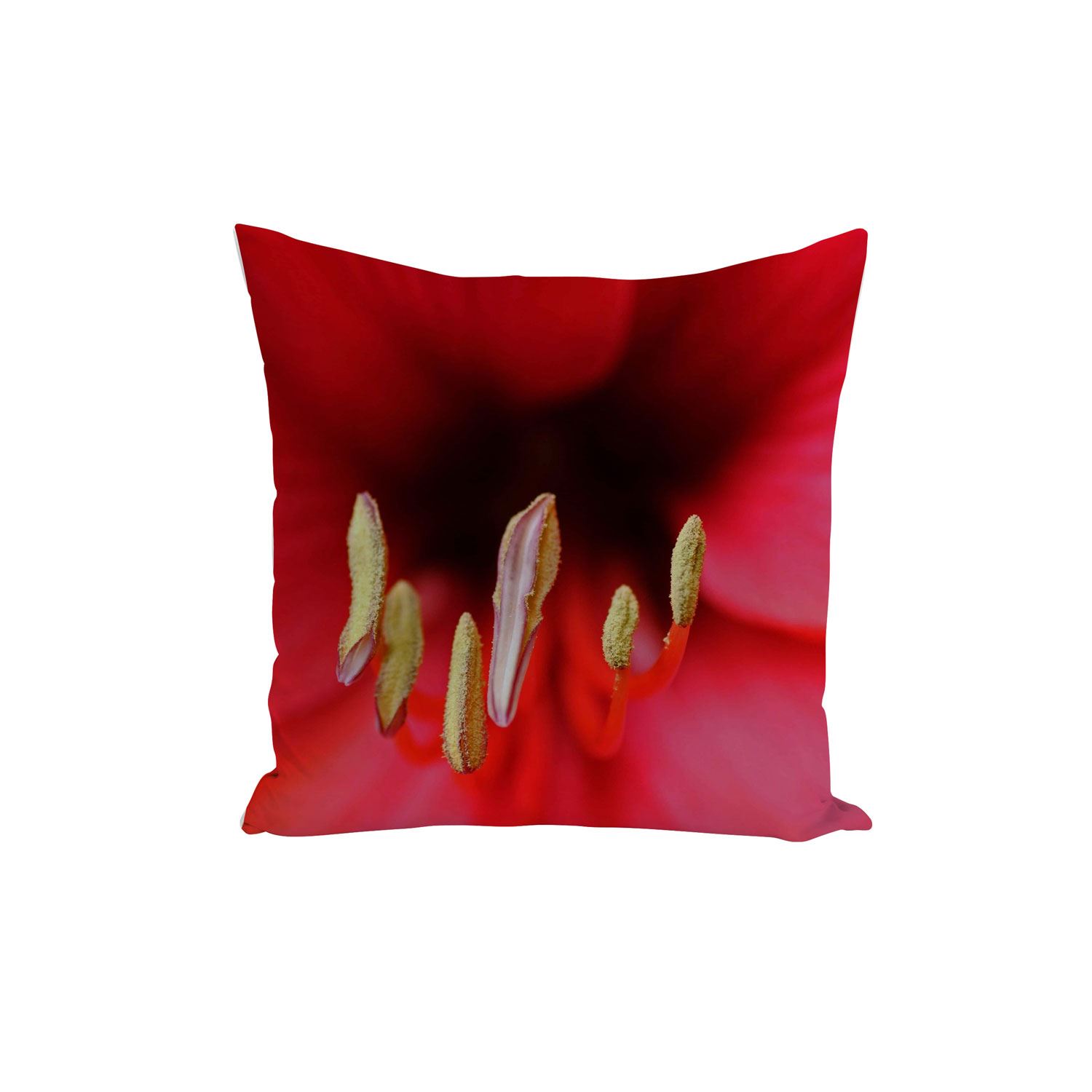Détails Sur Housse De Coussin Pistils Jaunes De Fleurs Rouges En Gros Plan Macro 40x40cm
