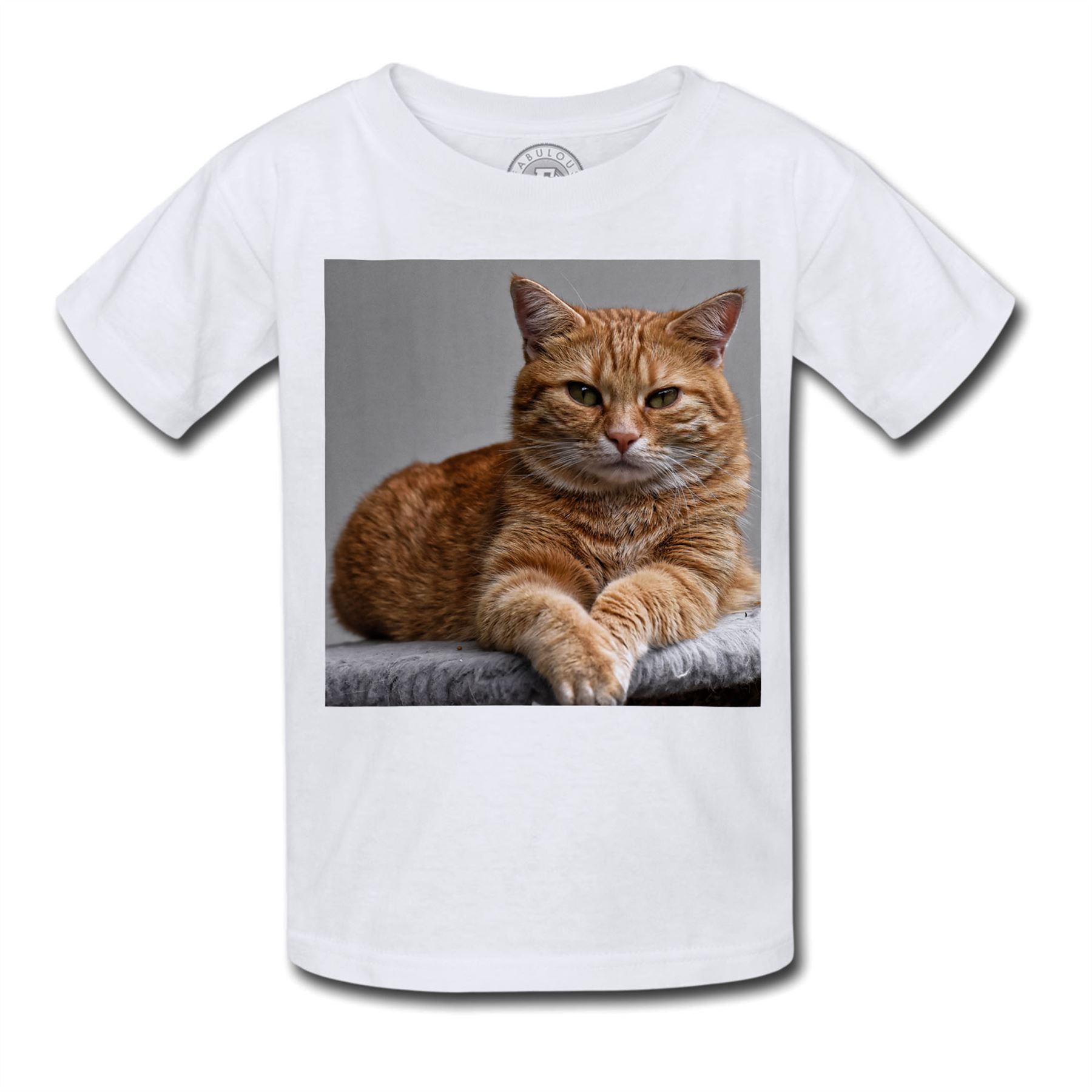 T Shirt Enfant Superbe Chat Roux A Poil Long Relax Chill Mignon Ebay