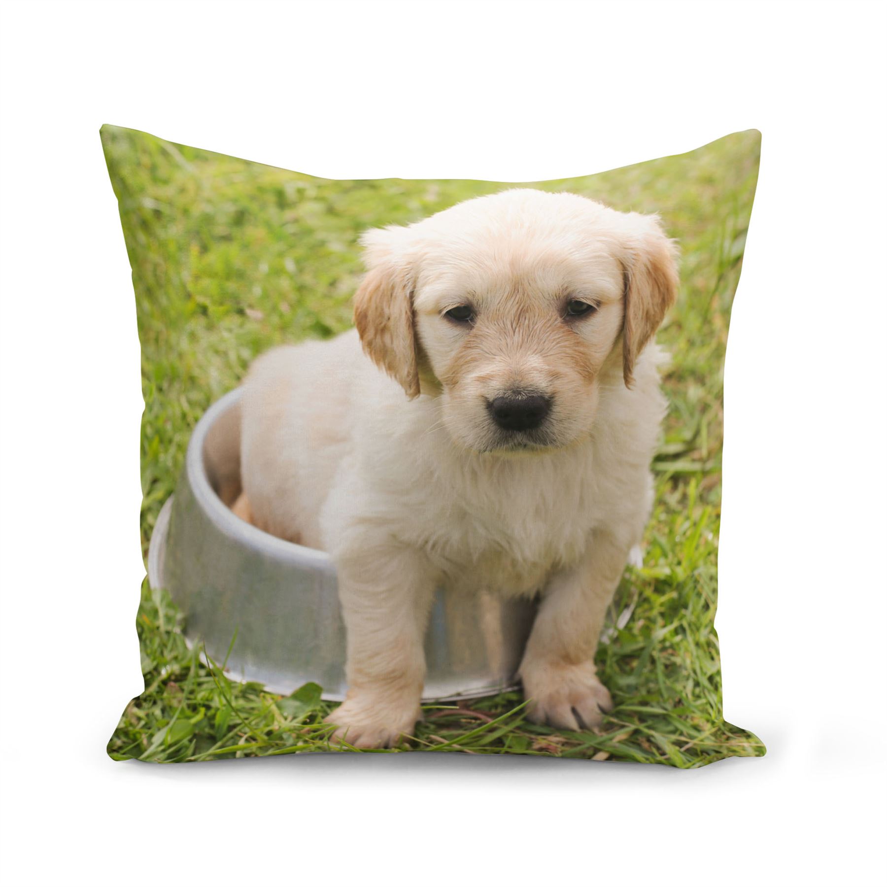 Détails Sur Housse De Coussin 40x40 Cm Labrador Blanc Chiot Bebe Chien Herbe Verte Mignon