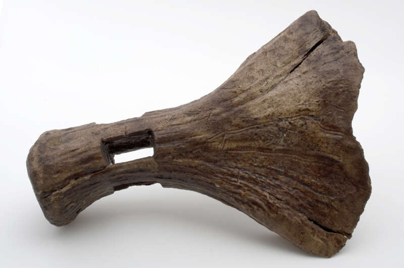 Prehistorische-hak-landbouwwerktuig-006797