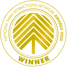 2019 awards.png 2020 Awards