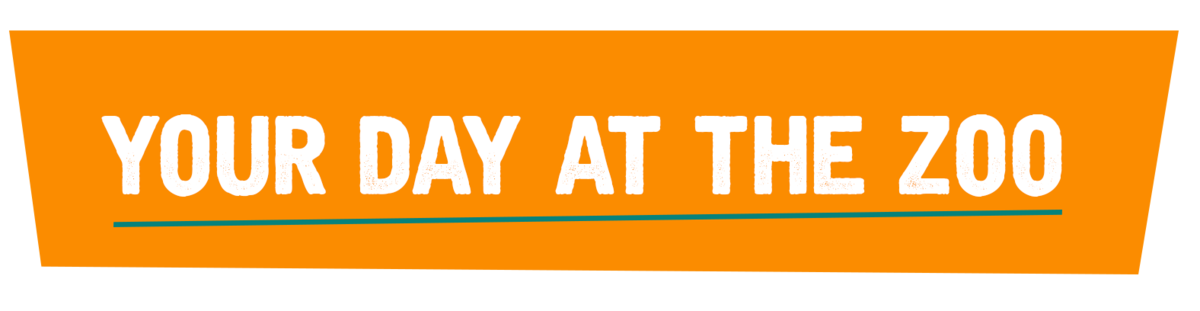 FAQS YOUR DAY AT THE ZOO.png