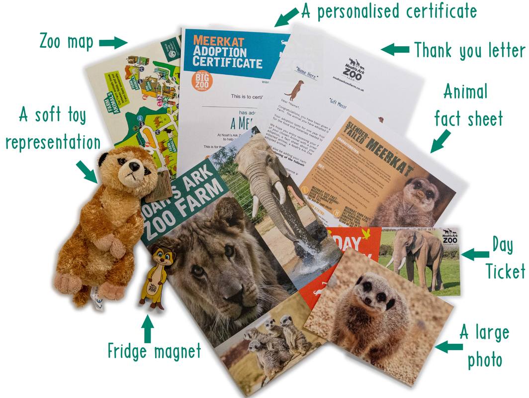 Adopt an Animal Animals Noah's Ark Zoo Farm