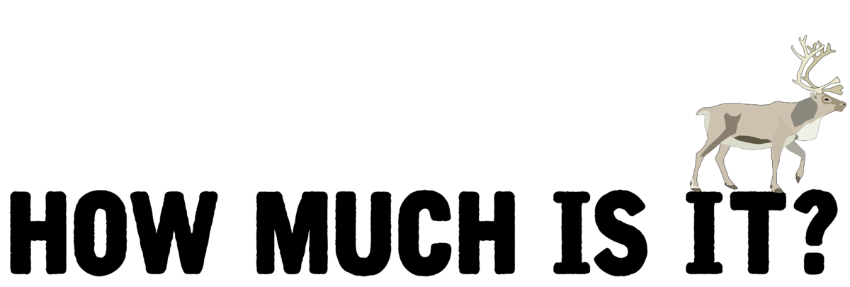 How much is the Junior Animals of The World Experience