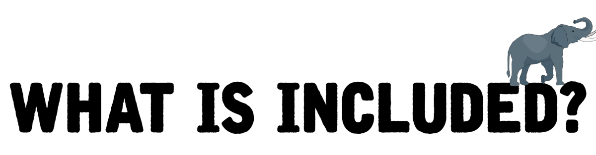 What is included within the Elephant Experience