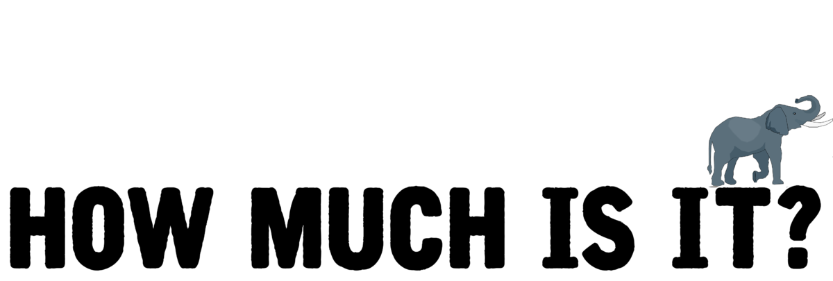 How much is the Elephant Experience