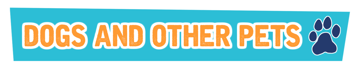 Dogs and other pets