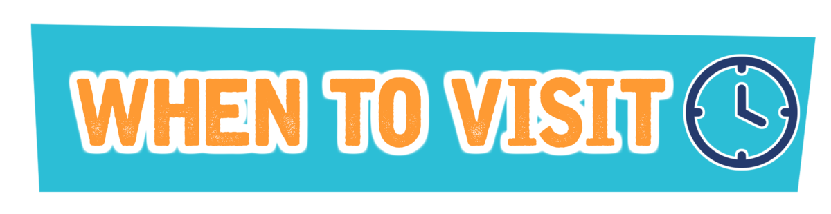 When to visit