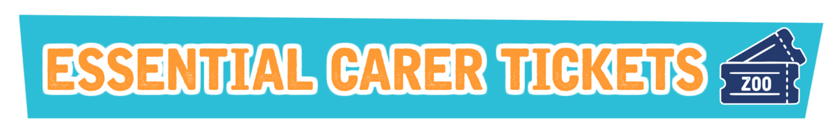 Essential carer tickets