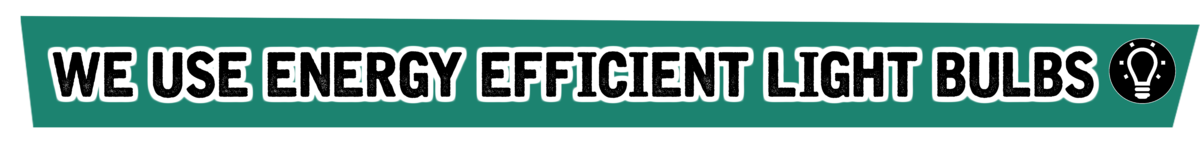 Light bulbs.png We use energy efficient light bulbs