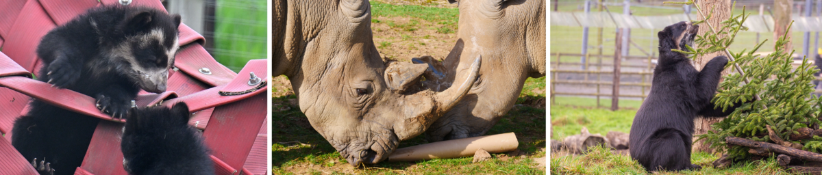 sustainable enrich.png