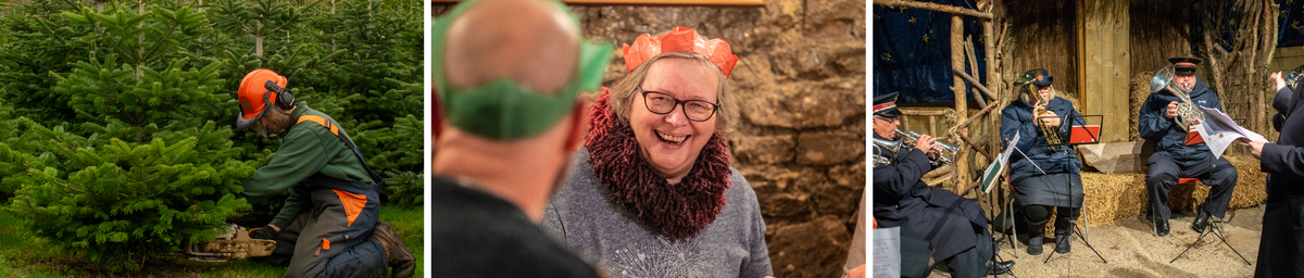 Christmas at NAZF.jpg Photos of Christmas at Noah's Ark Zoo Farm