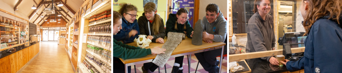 3 images cafe and schools.png