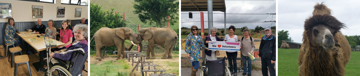 Photos of Age UK volunteers group visit courtesey of Age UK Somerset Photos of Age UK volunteers group visit courtesey of Age UK Somerset