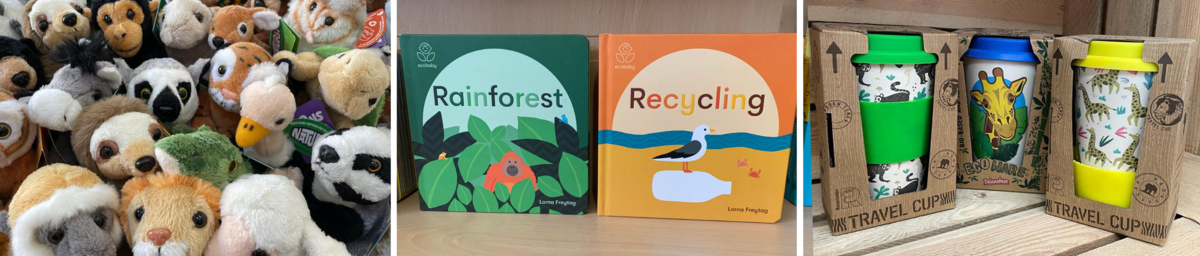 eco friendly toys and gifts pics.png