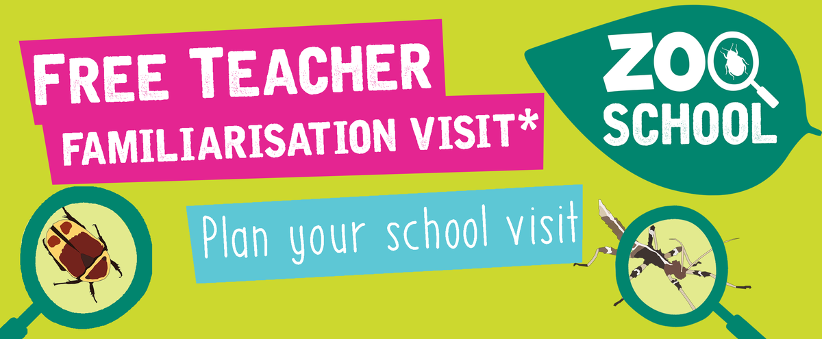 Free teacher visit.png