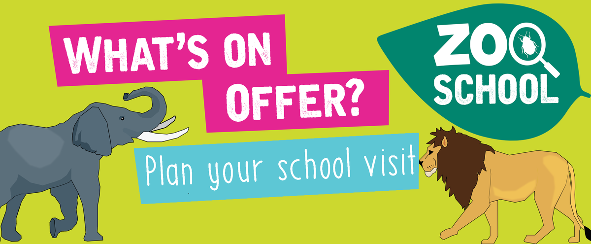 What's on offer.png What's on offer, plan your visit